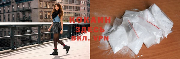 твердый Козельск