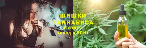 твердый Козельск