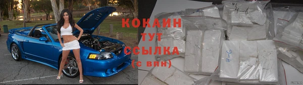 мяу мяу мука Кодинск