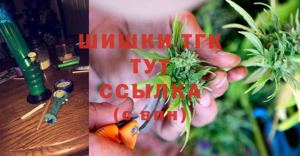 мяу мяу мука Кодинск