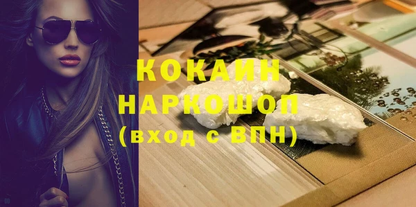 твердый Козельск