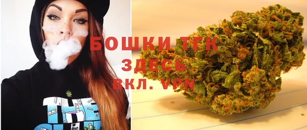 твердый Козельск