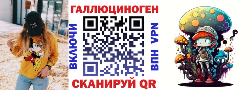 Купить  Ивдель  Галлюциногенные грибы Psilocybe 